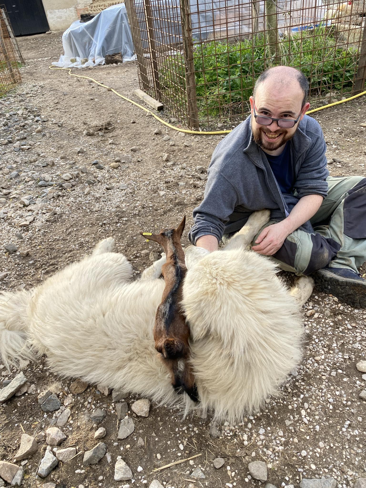Quentin auprès d'animaux